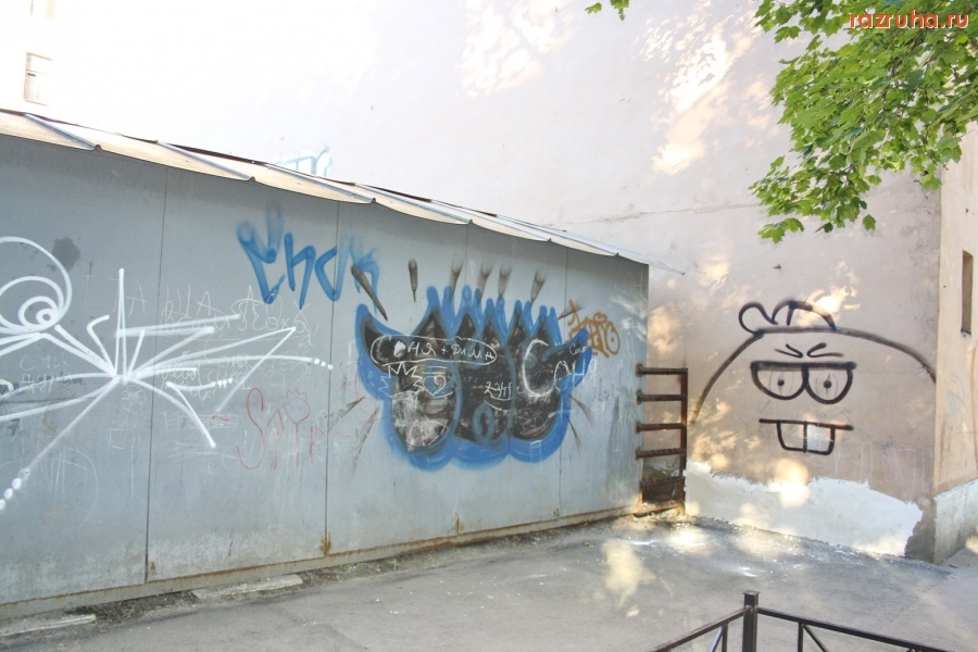 Санкт-Петербург - Петроградский район. Ул. Мичуринская 13-15. Двор.  Граффити