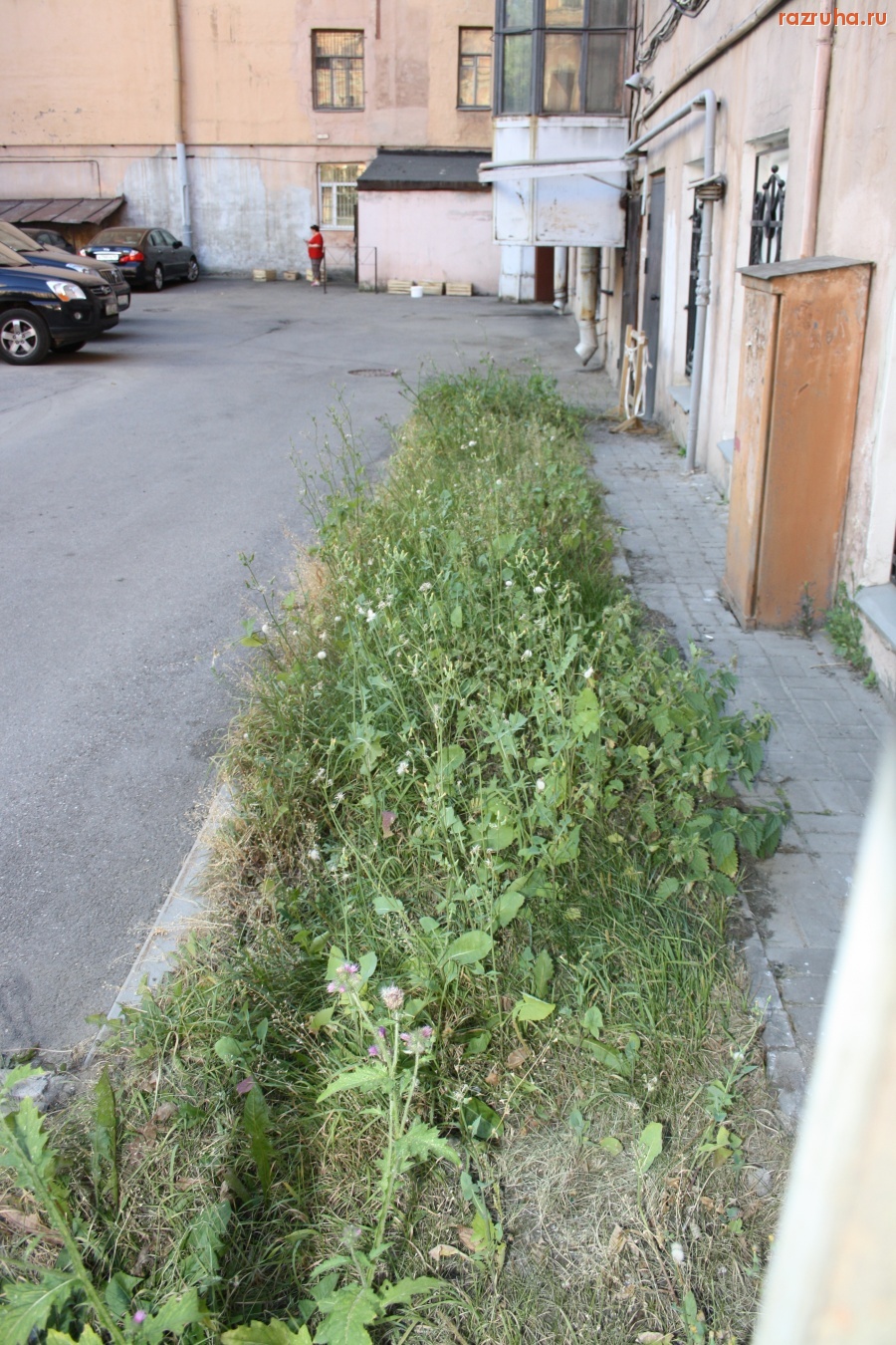 Санкт-Петербург - Петроградский район. Газончик.