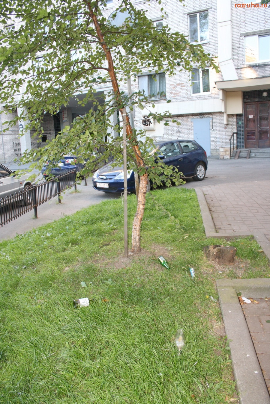 Санкт-Петербург - Петроградский район, ул. Мичуринская. Веселый газончик