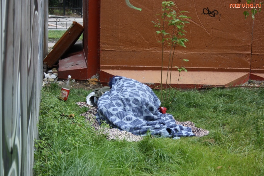 Санкт-Петербург - Хорошо на травке спится, интересно, что приснится?