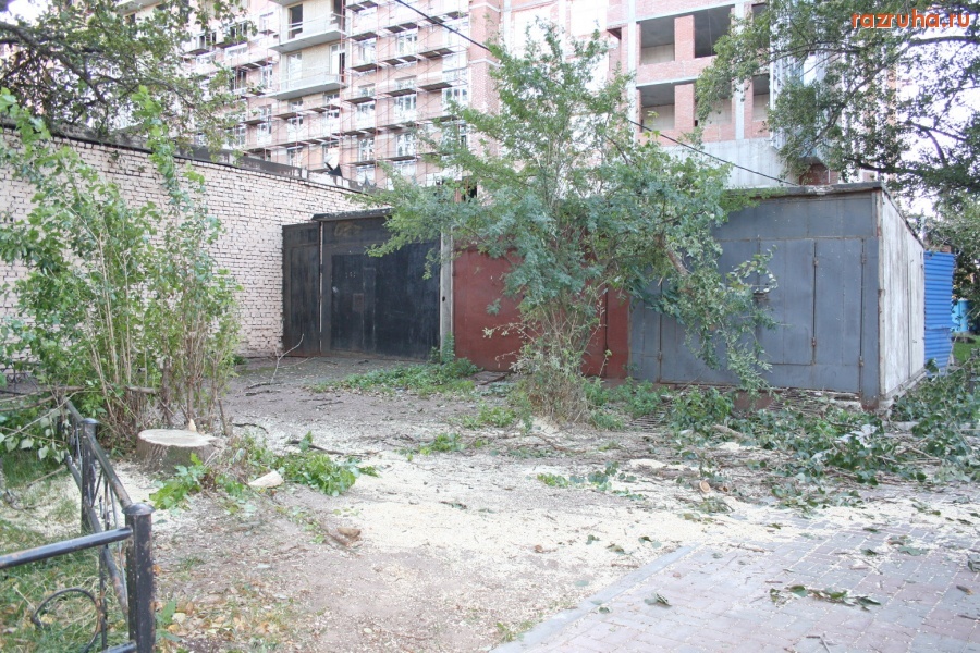 Санкт-Петербург - Петроградский район. Сносят здоровые деревья по желанию владельцев элитных иномарок, стоящих в этих гаражах