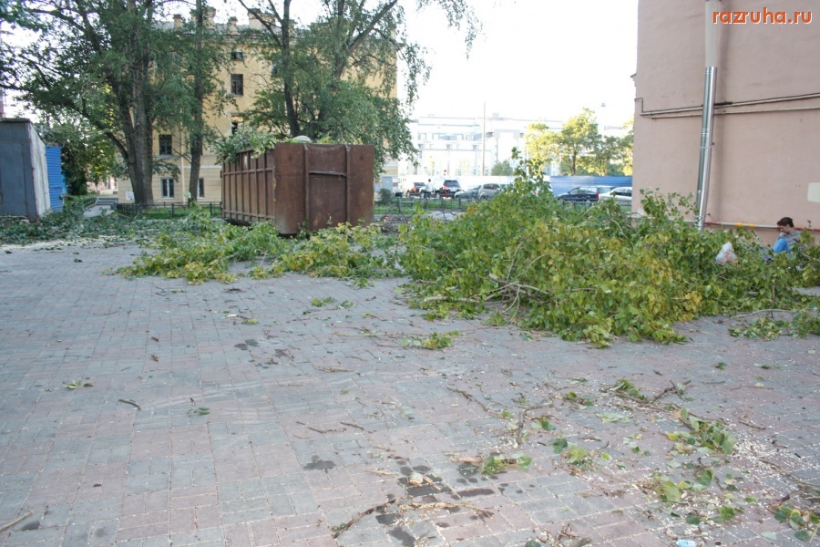 Санкт-Петербург - Петроградский район. Сносят здоровые деревья по желанию владельцев элитных иномарок