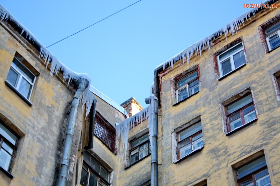 Санкт-Петербург - Петроградский район, ул. Большая Зеленина 16