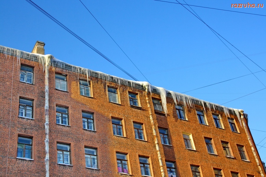 Санкт-Петербург - Петроградский район, ул. Большая Зеленина 16