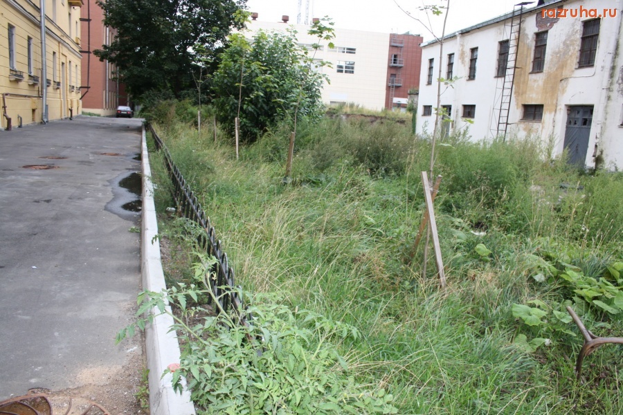 Санкт-Петербург - Петроградский район, Красного Курсанта 22. Газон.