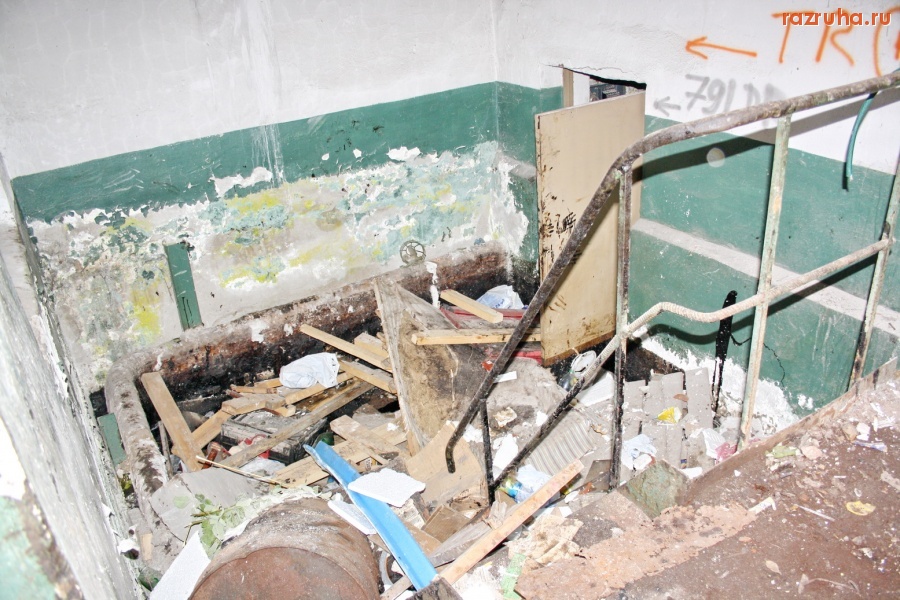 Санкт-Петербург - Петроградский район. Алексей Делюкин: 