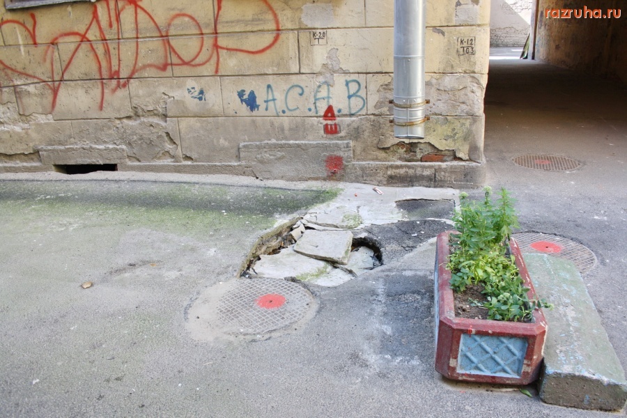 Санкт-Петербург - Петроградский район. Вазончик с цветами  в интерьере разрухи