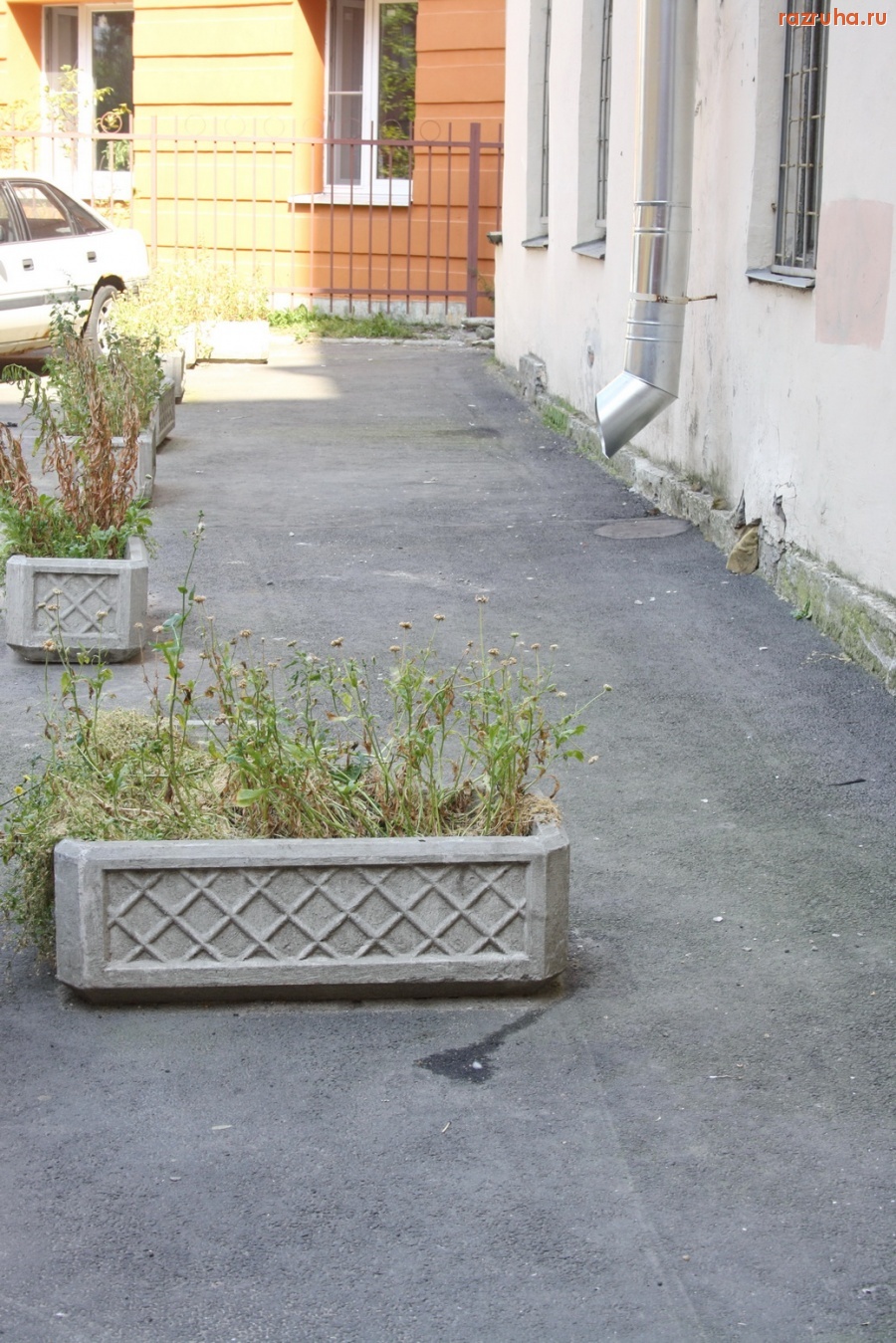 Санкт-Петербург - Петроградский район. Вазоны с чахлыми цветами.