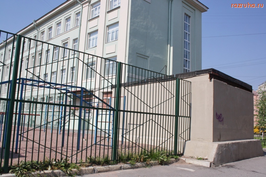 Санкт-Петербург - Петроградский район. Пудожская ул., 4-б. Личный гараж завхоза гимназии № 56 И. Филь  на спортивной площадке.