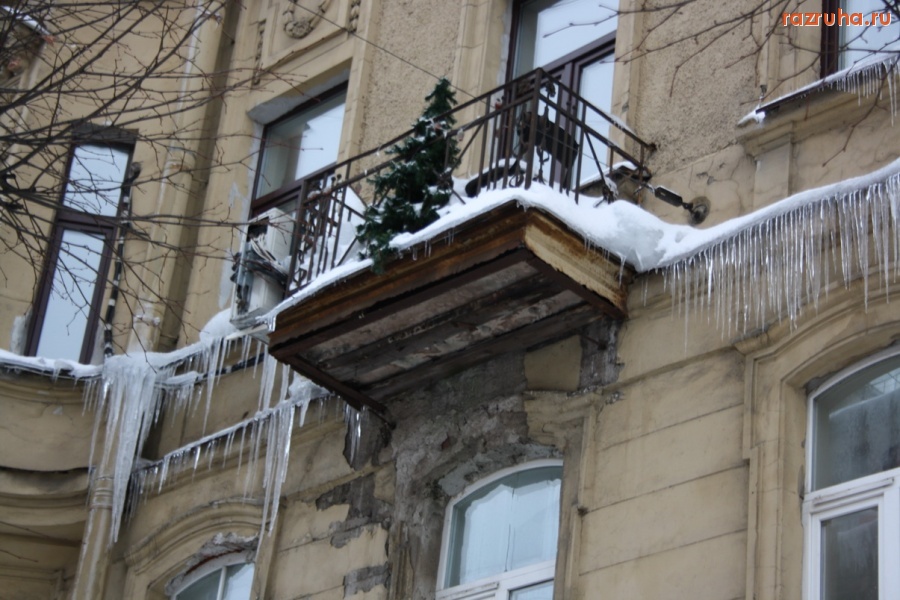 Санкт-Петербург - Елочка