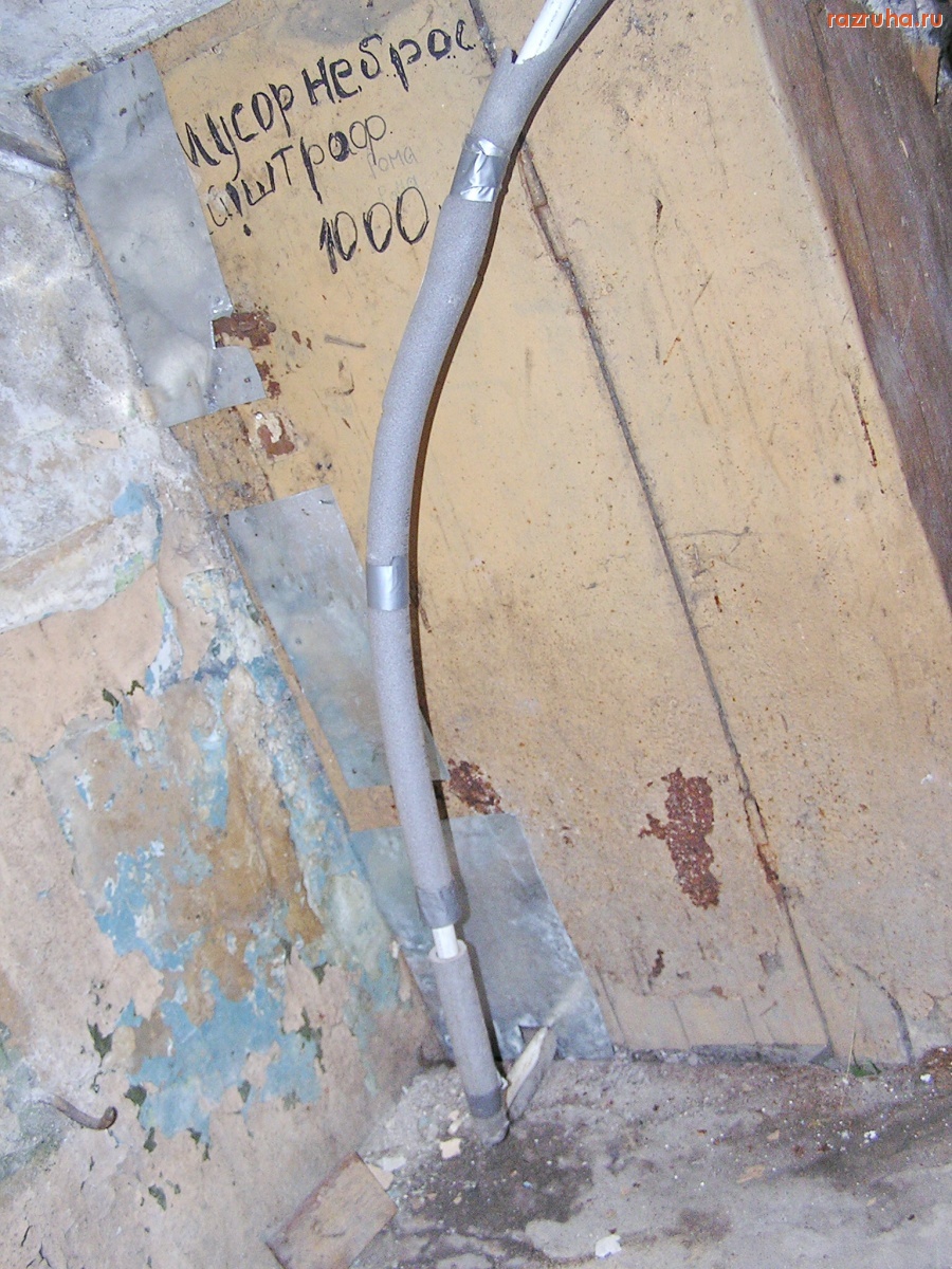 Санкт-Петербург - Алексей Делюкин: 