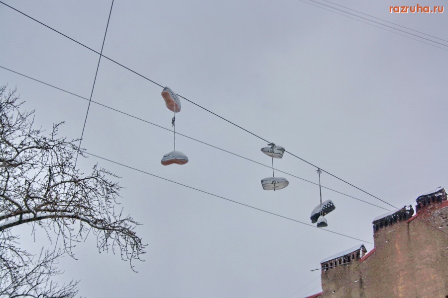 Санкт-Петербург - Вяленые кросовки