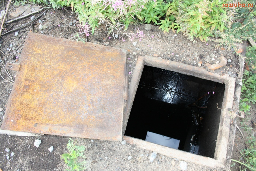 Санкт-Петербург - Петроградский район. Алексей Делюкин: 