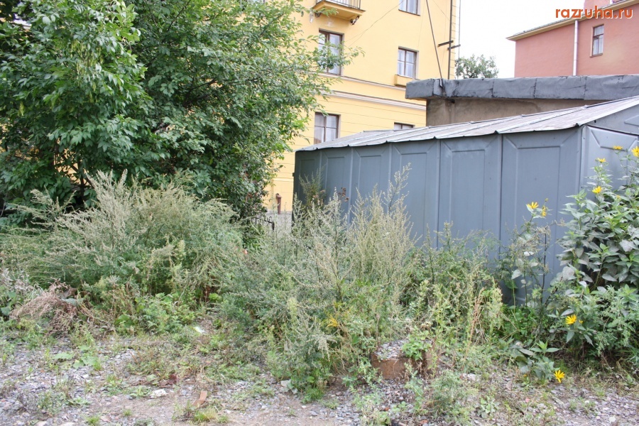 Санкт-Петербург - Петроградский район. Гаражи на территории 