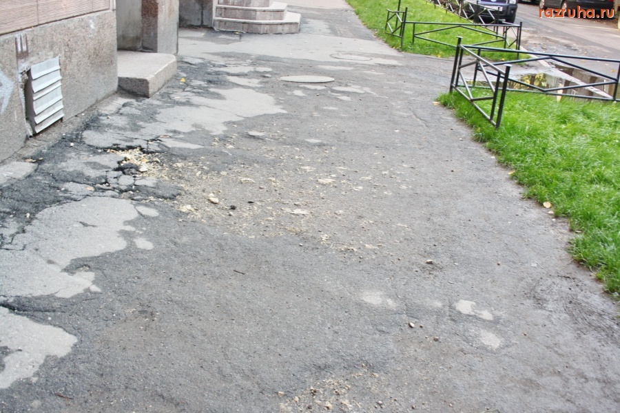 Санкт-Петербург - Петроградский район. Дороги, ведущие в Законодательное собрание. Алексей Делюкин: «…В 2009 году мы… завершили работы по асфальтированию и мощению плиткой более 500 тысяч кв.м. площади…»