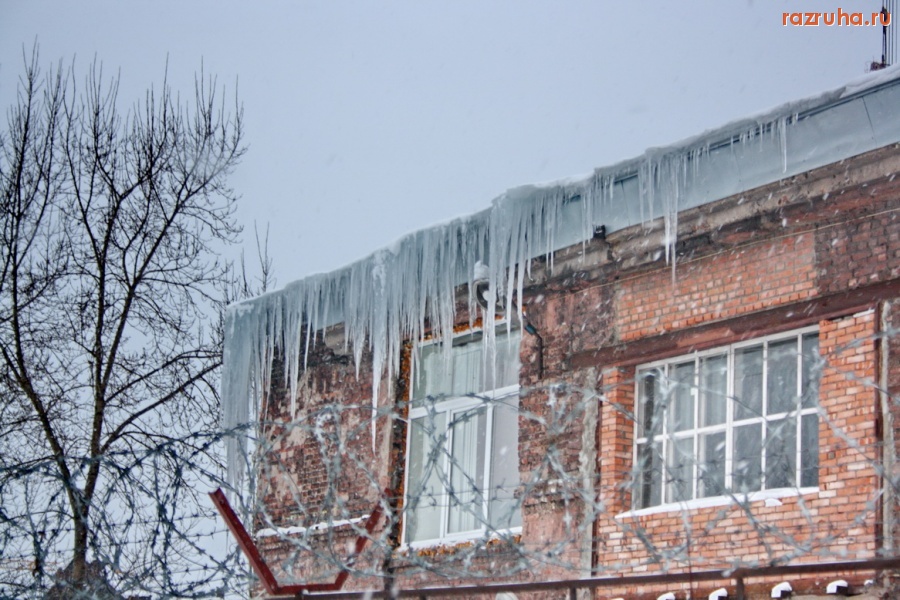 Санкт-Петербург - Они вернулись, чтобы создать проблемы местечковым чиновникам.