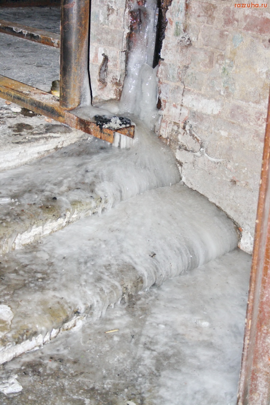 Санкт-Петербург - Алексей Делюкин: 