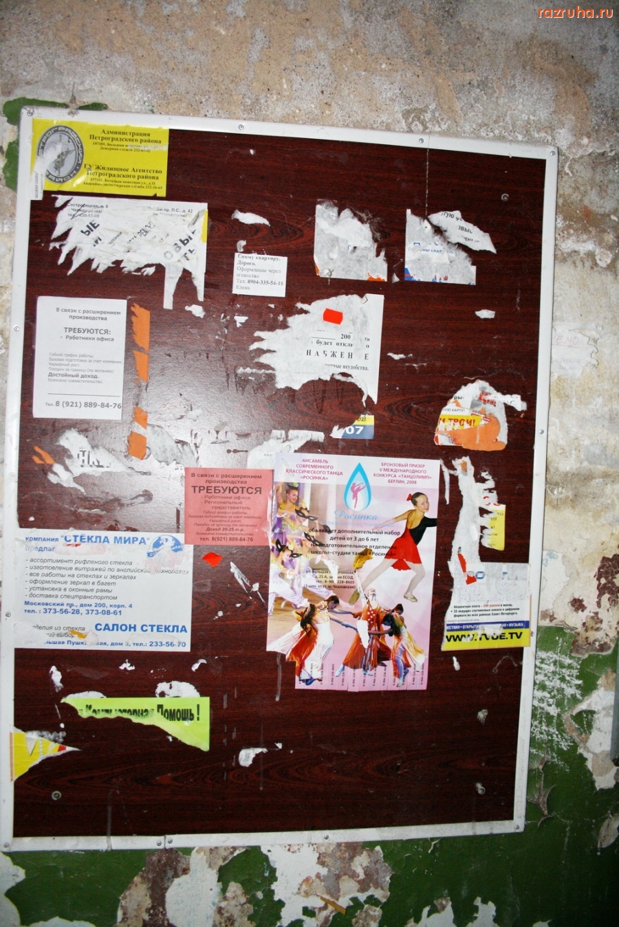 Санкт-Петербург - Алексей Делюкин: 