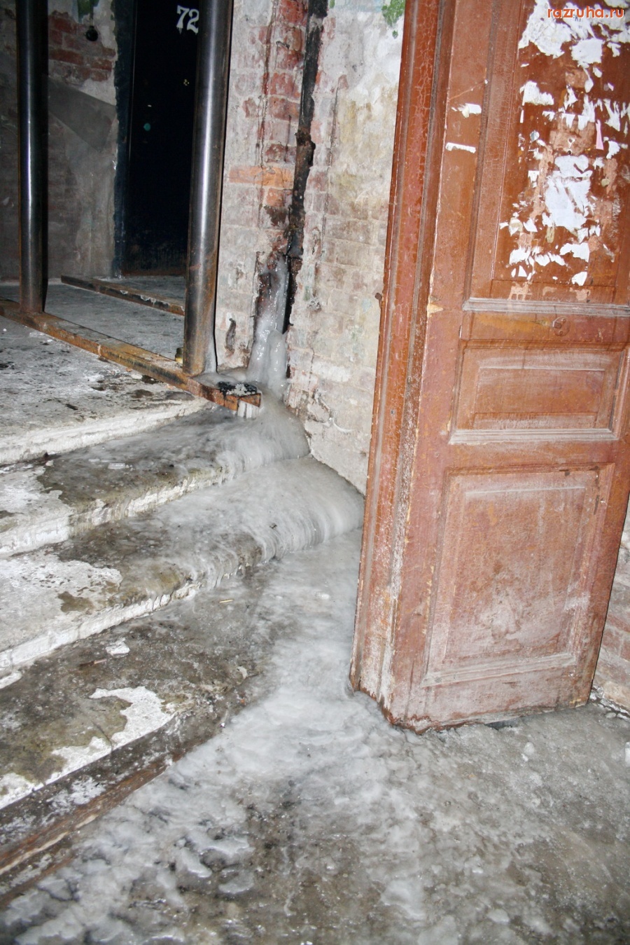 Санкт-Петербург - Алексей Делюкин: 