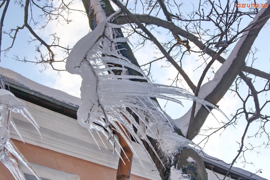 Санкт-Петербург - Ледяные птицы