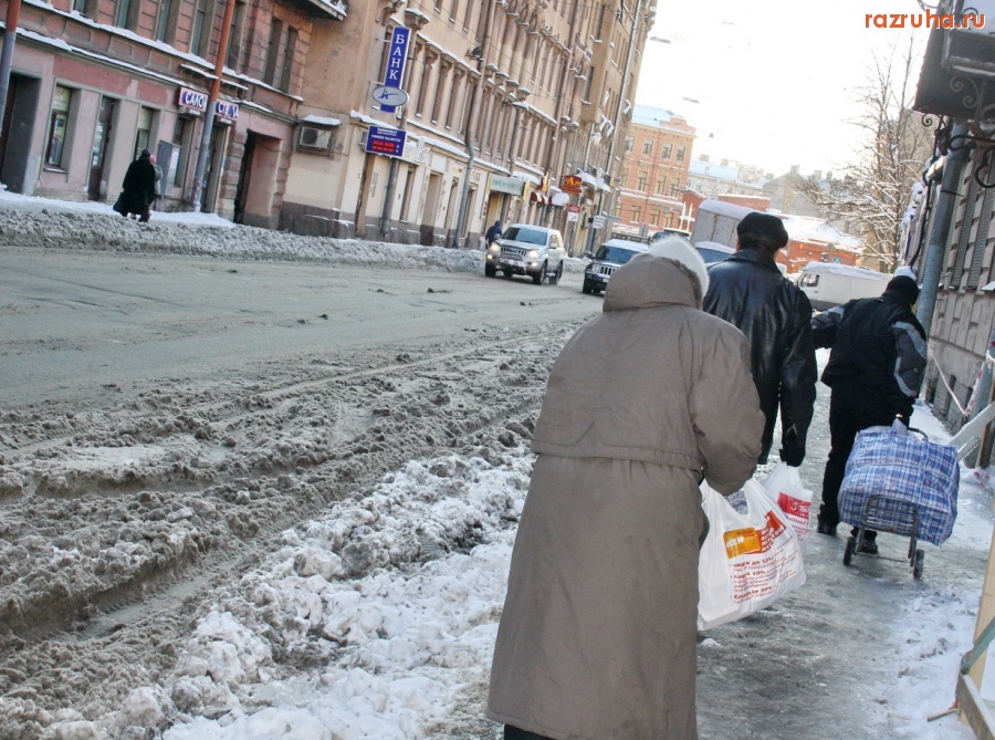 Санкт-Петербург - Петроградский район. Куда исчезают дворники с наступлением зимы? - Одна из версий.