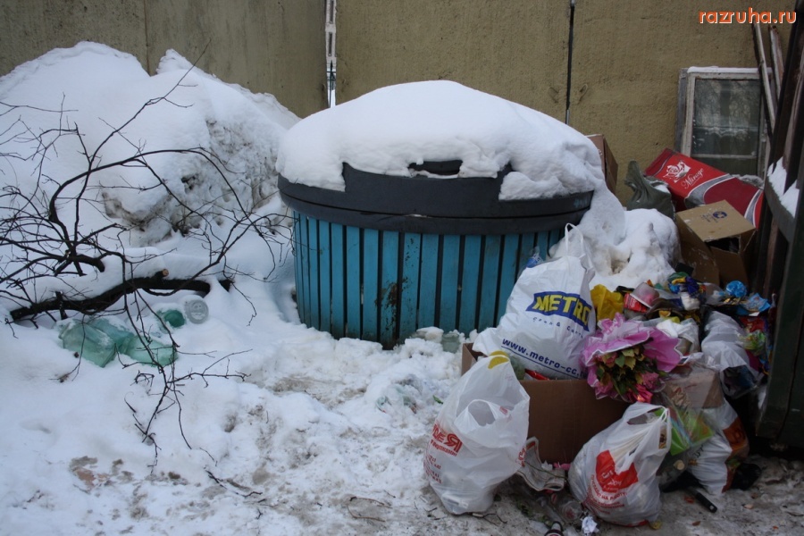 Санкт-Петербург - Петроградский район. Цветы на снегу