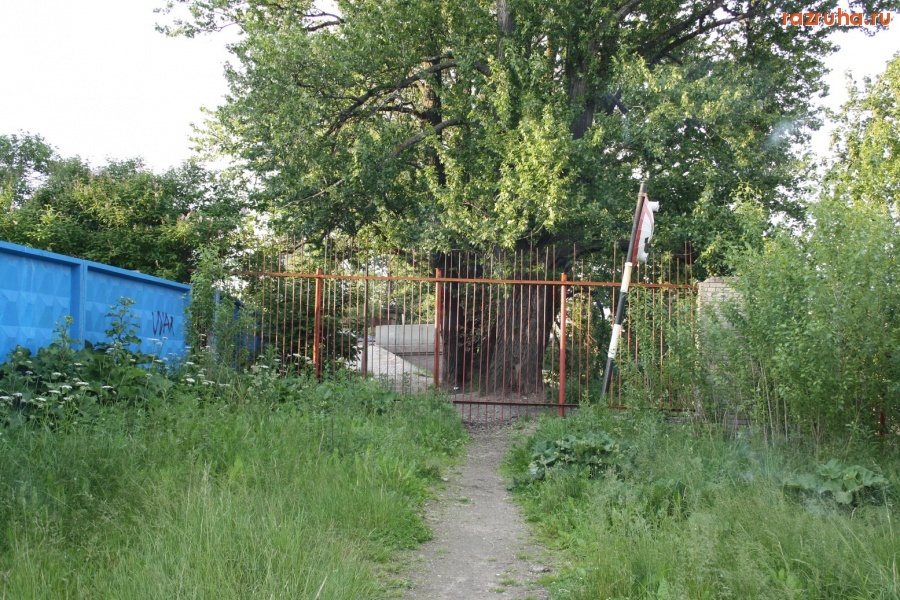 Санкт-Петербург - Петроградский район. Ходят тут всякие...