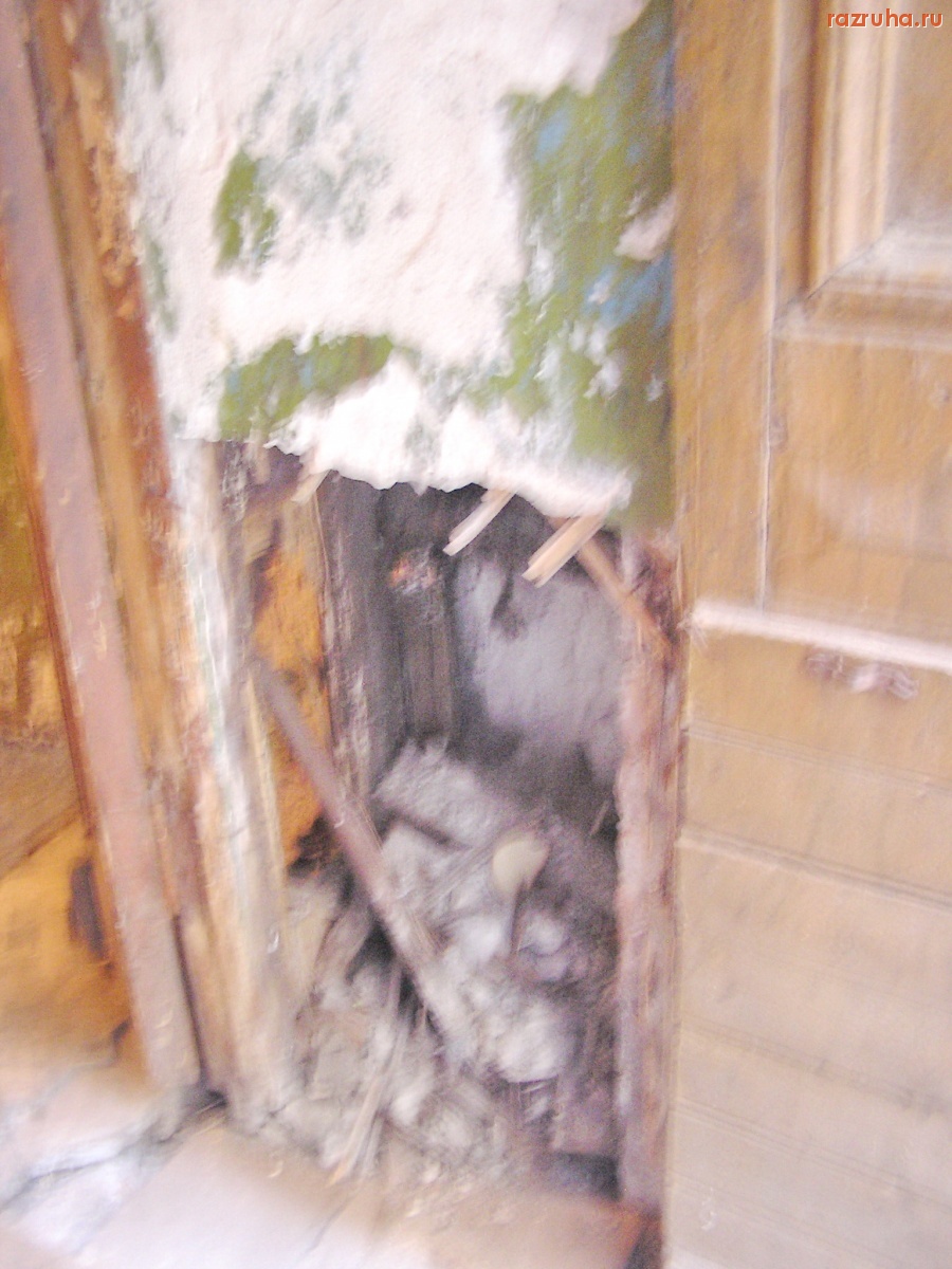 Санкт-Петербург - Алексей Делюкин: 