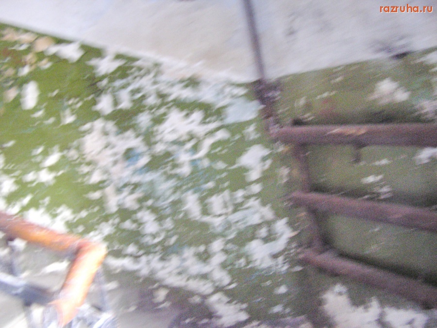 Санкт-Петербург - Алексей Делюкин: 