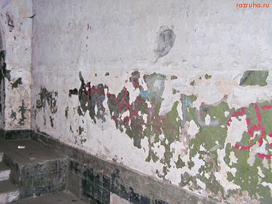 Санкт-Петербург - Алексей Делюкин: 