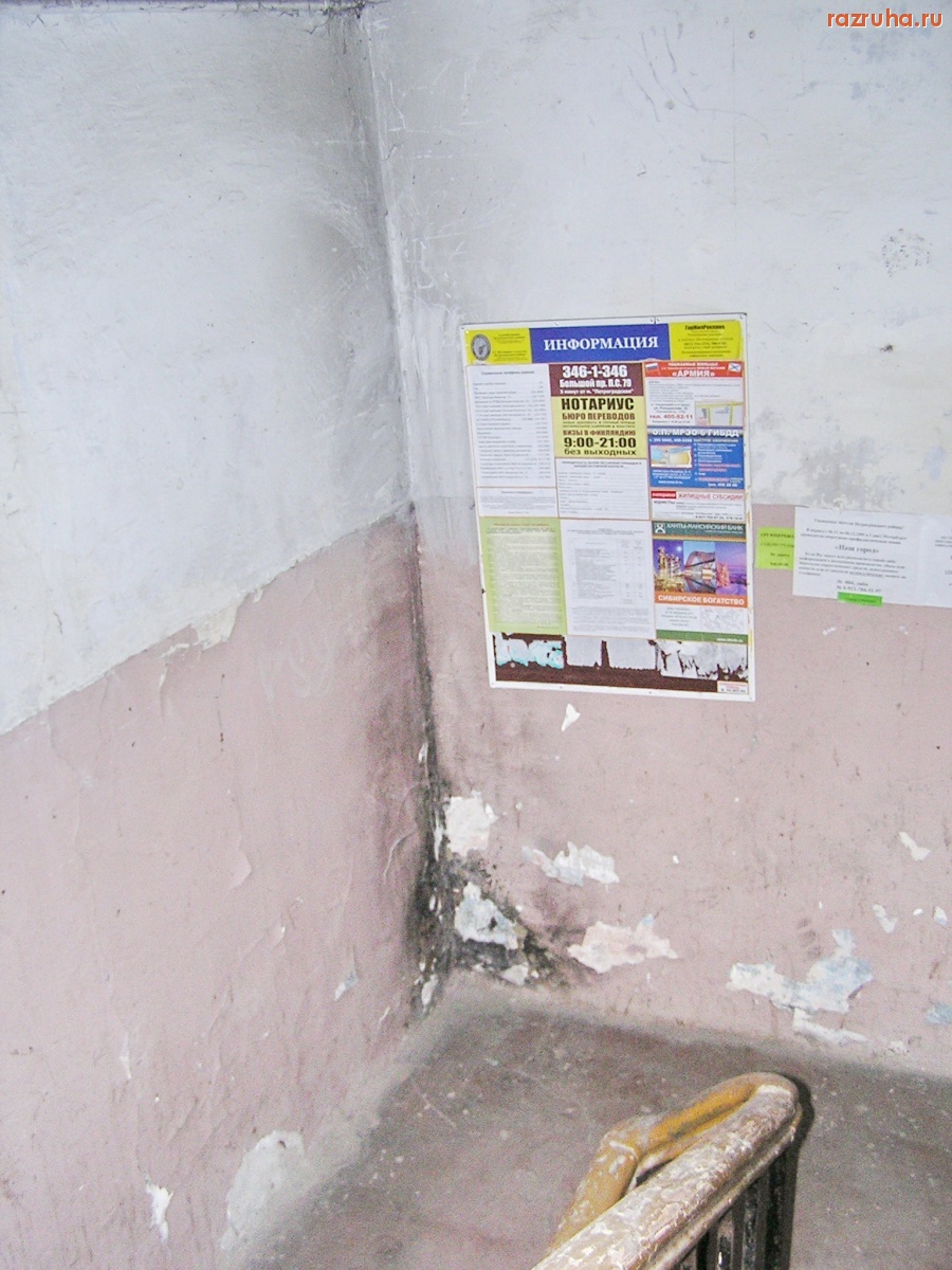 Санкт-Петербург - Алексей Делюкин: 