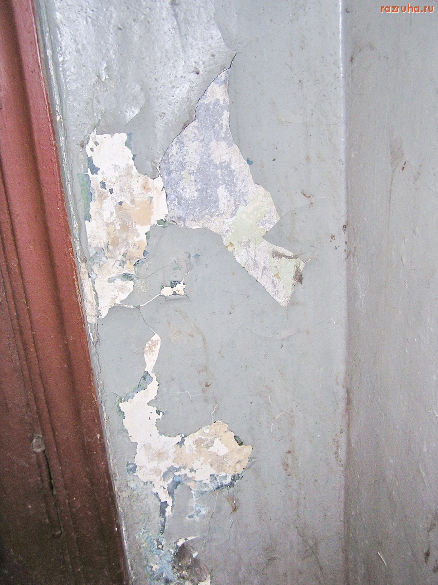 Санкт-Петербург - Алексей Делюкин: 