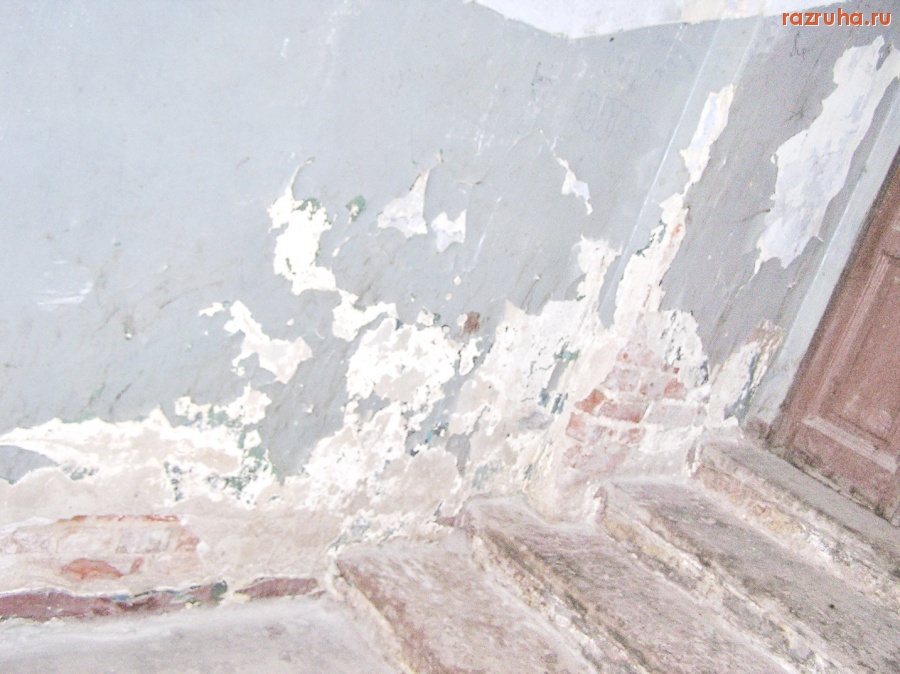 Санкт-Петербург - Алексей Делюкин: 