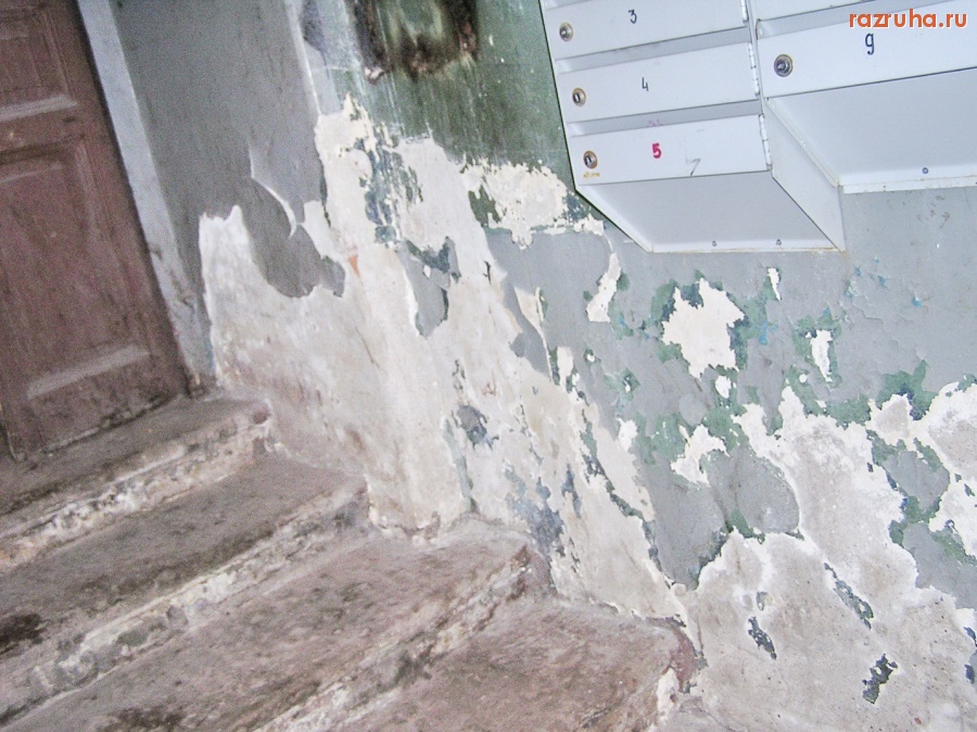 Санкт-Петербург - Алексей Делюкин: 