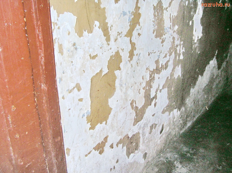 Санкт-Петербург - Алексей Делюкин: 