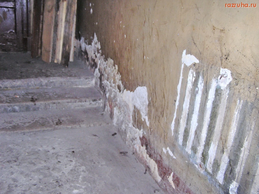 Санкт-Петербург - Алексей Делюкин: 