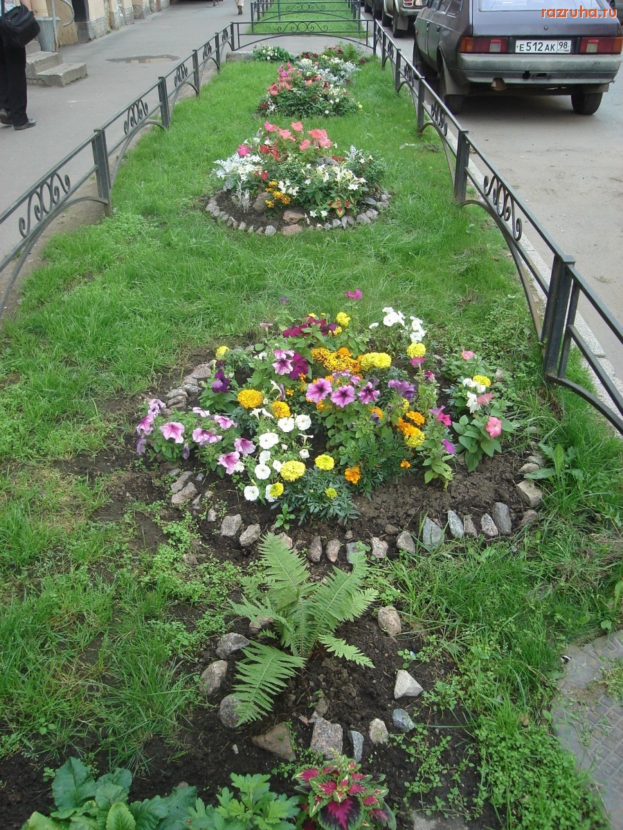 Санкт-Петербург - Шамшева, 12