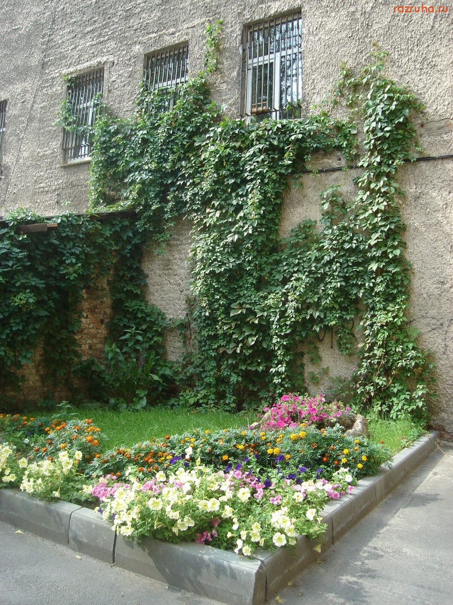 Санкт-Петербург - Шамшева, 17