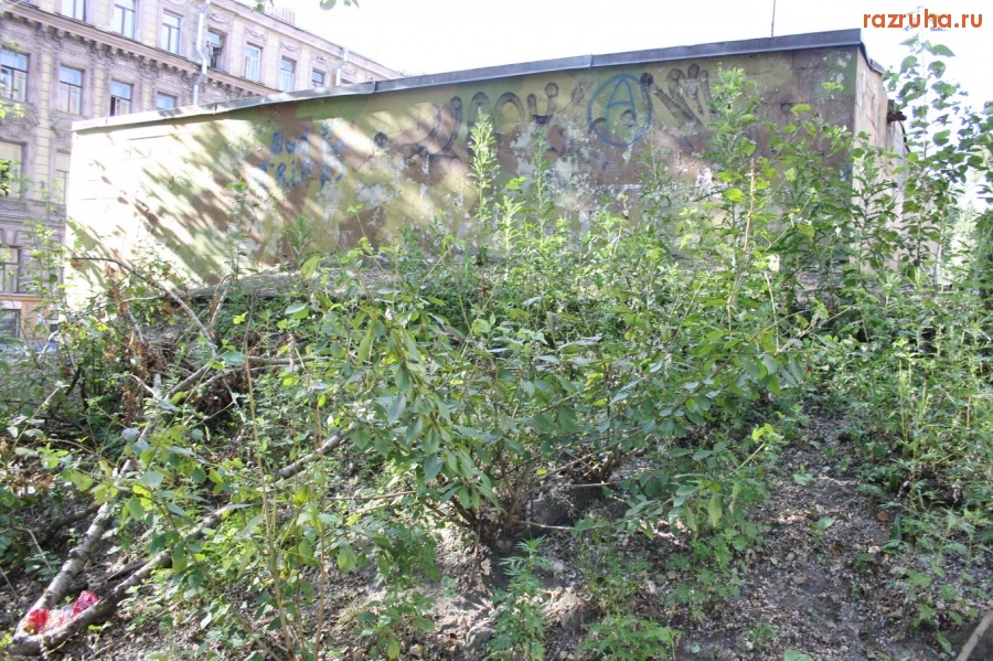 Санкт-Петербург - СПБ. ПЕТРОГРАДСКИЙ РАЙОН. КОШМАР НА ЛЮБАНСКОМ