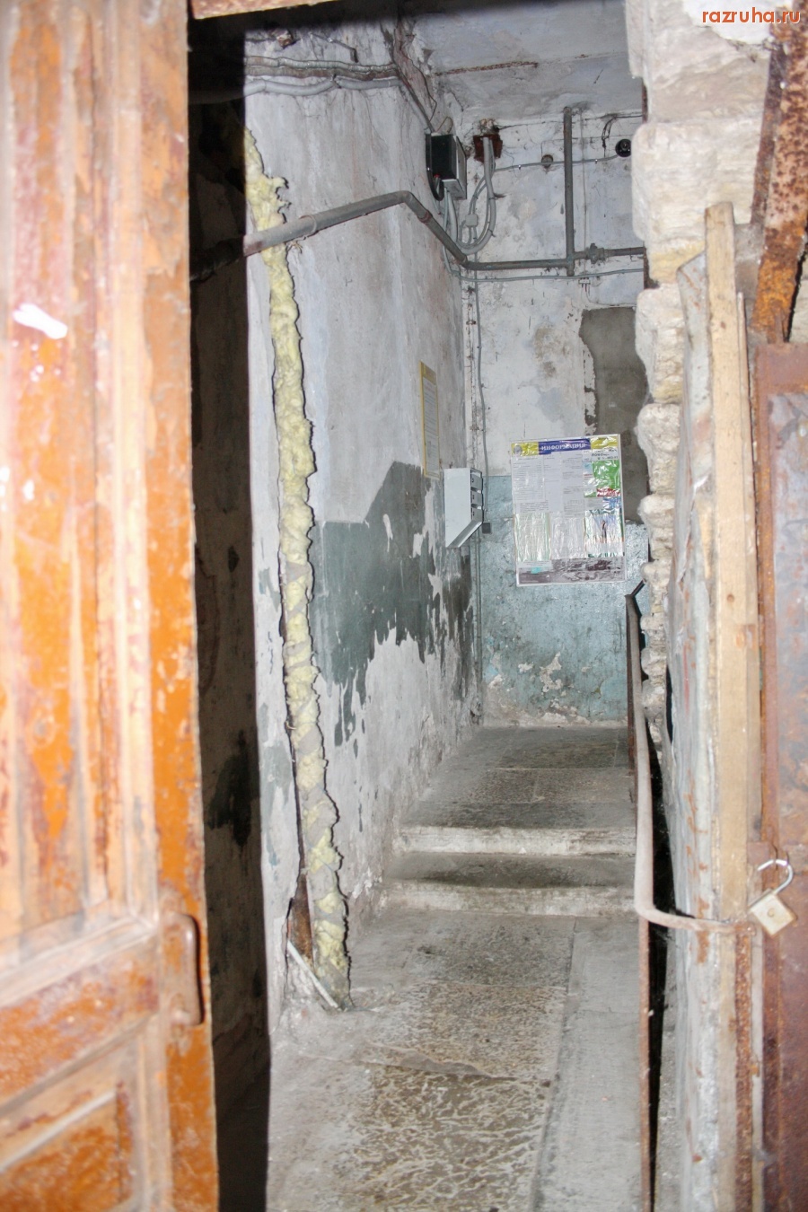 Санкт-Петербург - Алексей Делюкин: 