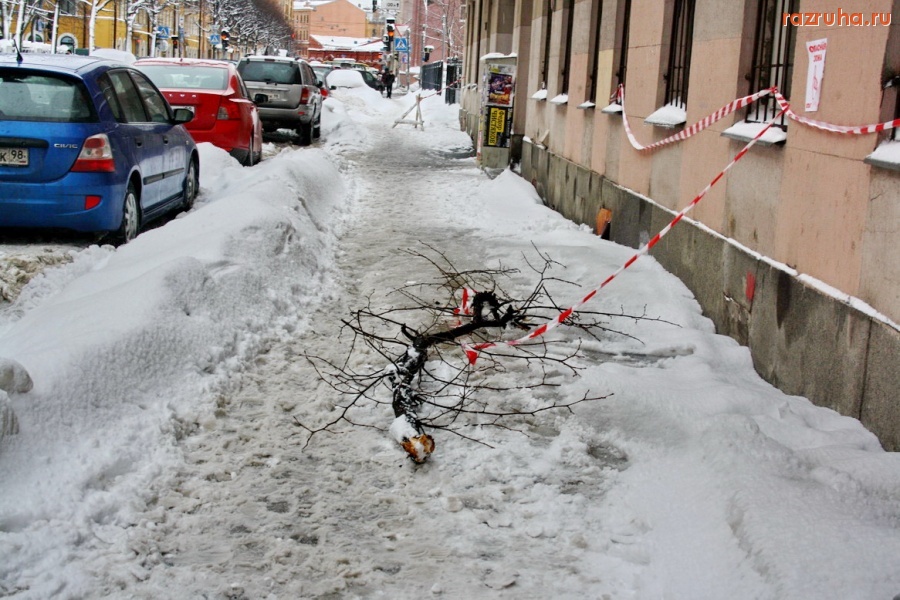 Санкт-Петербург - О Петроградском районе в эфире рассказал журналист и был уволен.