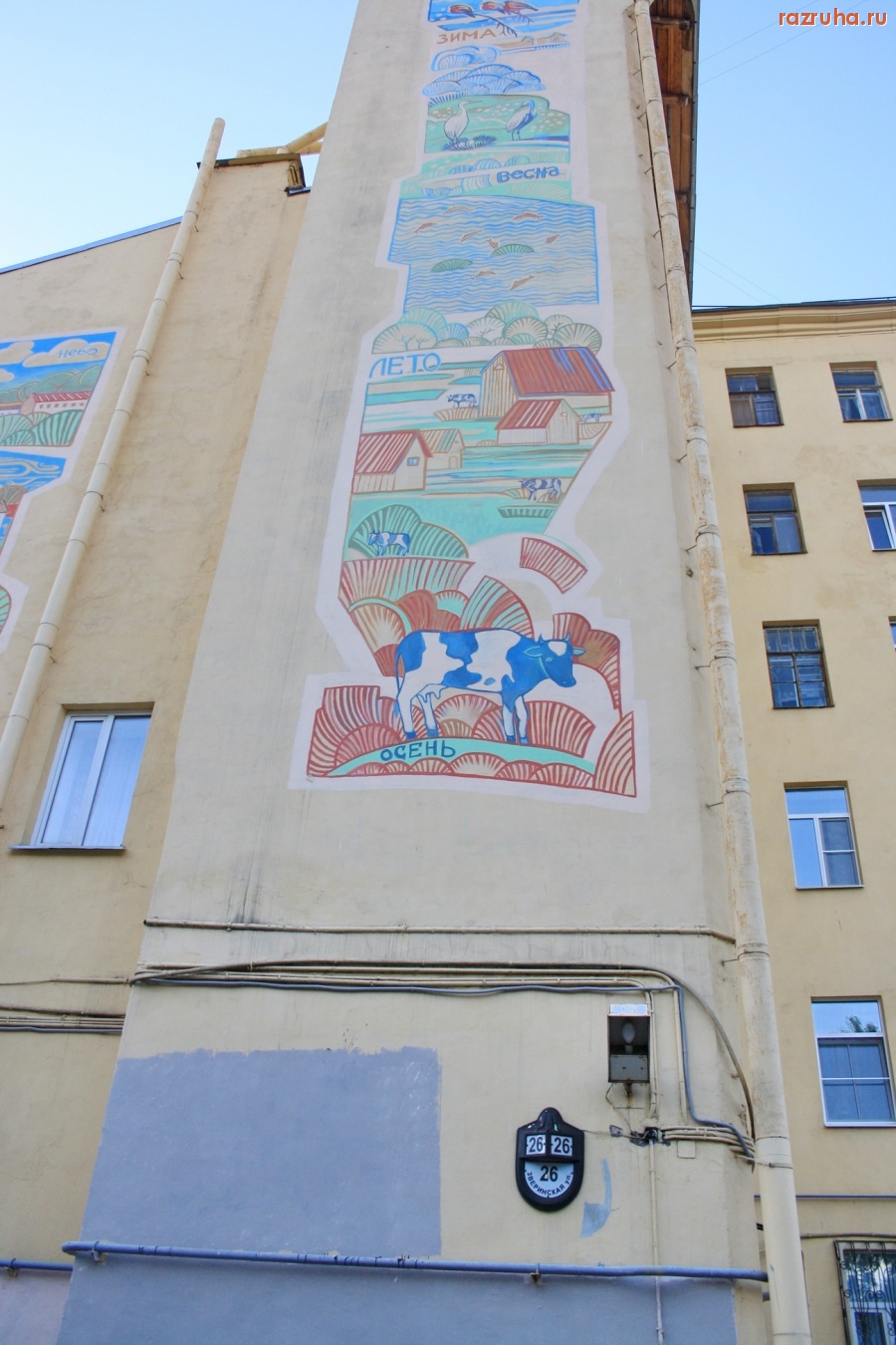 Санкт-Петербург - СПБ. ПЕТРОГРАДСКИЙ РАЙОН. КОРОВА, ПОСИНЕВШАЯ ОТ ...