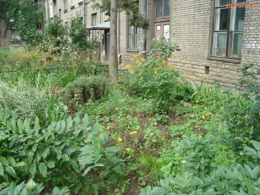 Санкт-Петербург - Красного Курсанта, 26