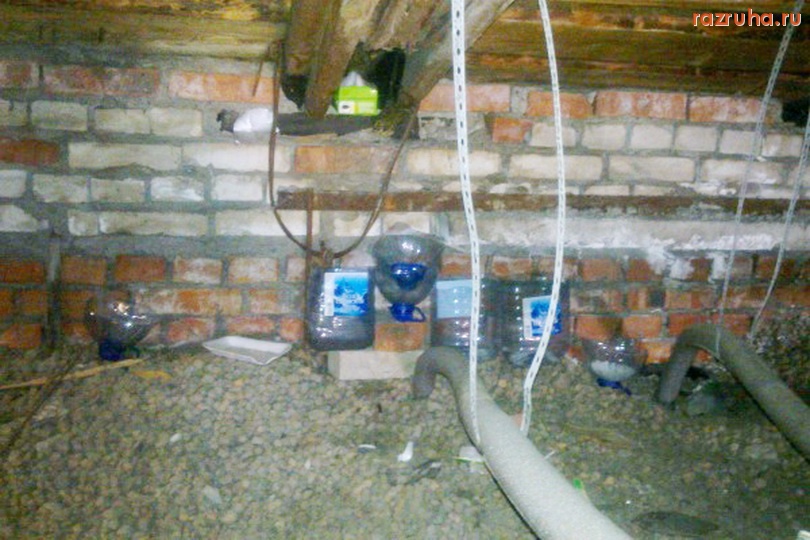 Санкт-Петербург - Нанотехнологии жителей Петроградского района.