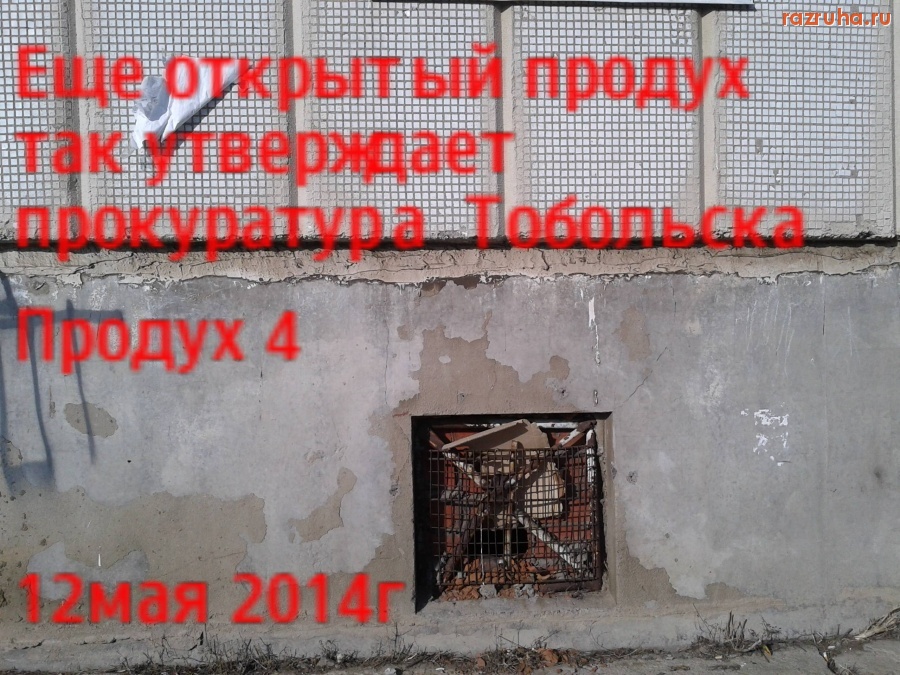 Тобольск - продухи