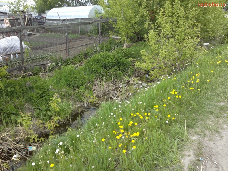 Голышманово - Огороды в центре поселка