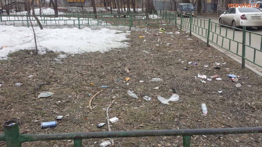 Хабаровск - Весенние подснежники в Хабаровске