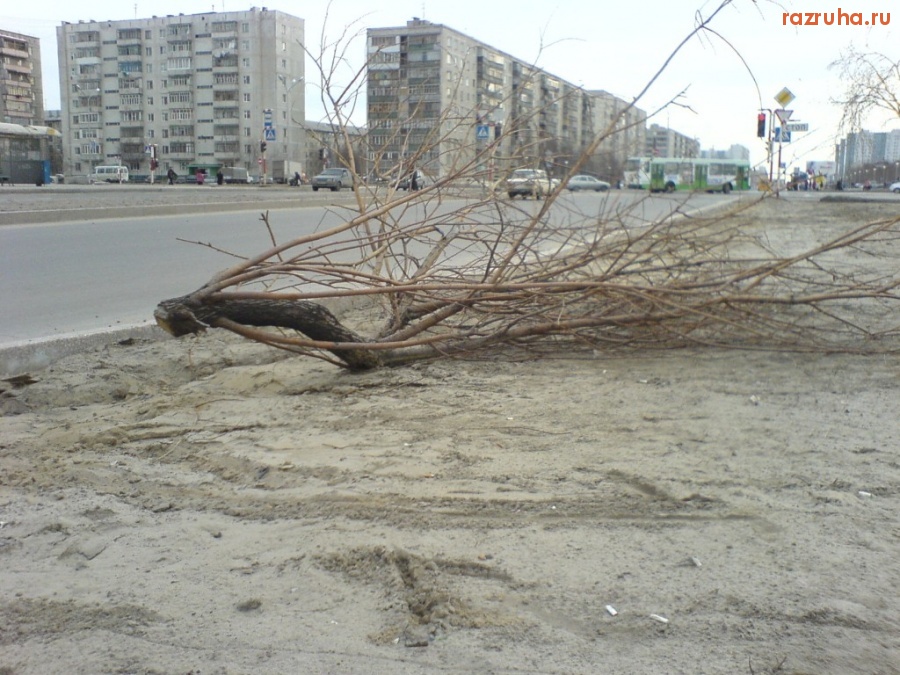 Нижневартовск - Нижневартовск-ЗЕЛЕНЫЙ ГОРОД!
