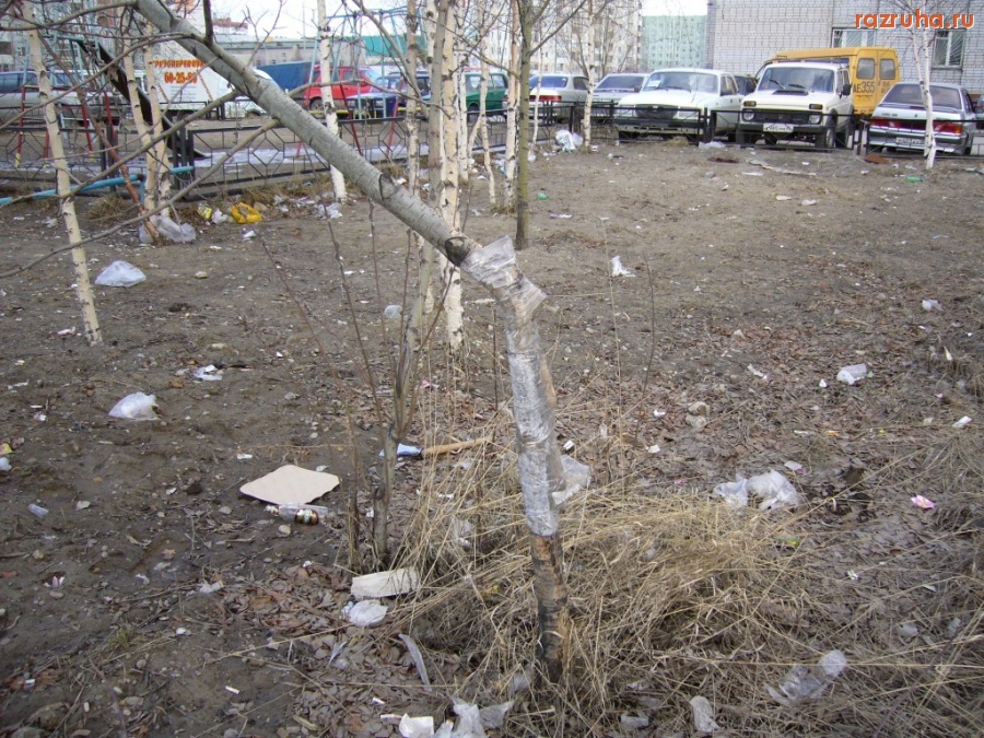 Нижневартовск - Весна пришла!