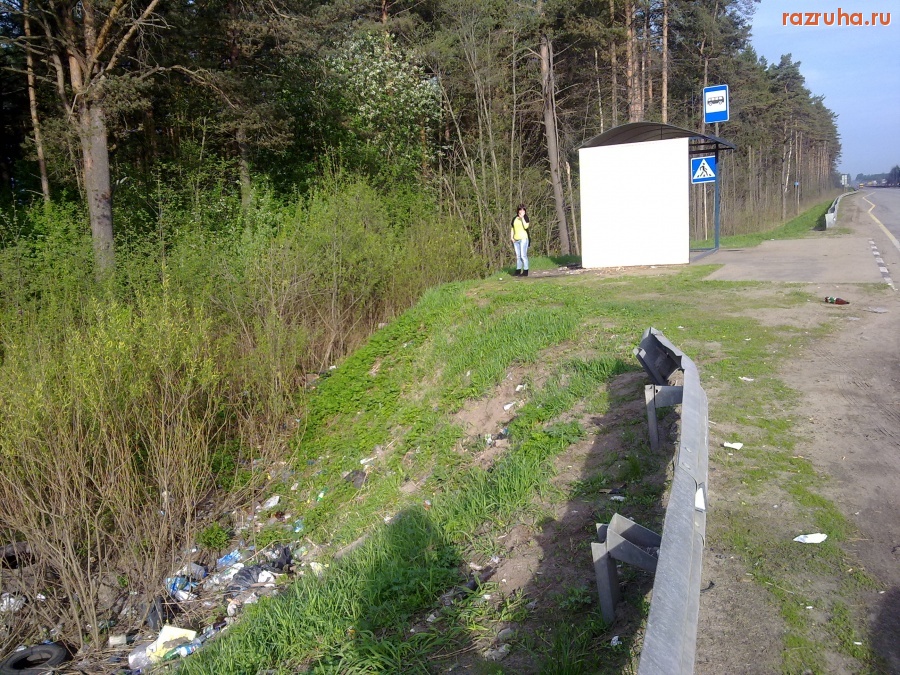 Тверь - Трасса Москва-Петербург (м10) - что скрывается за обочиной